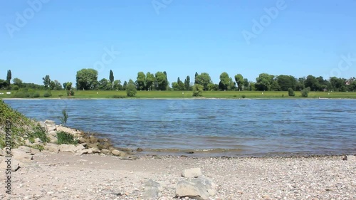 Rhein Ufer Fluss