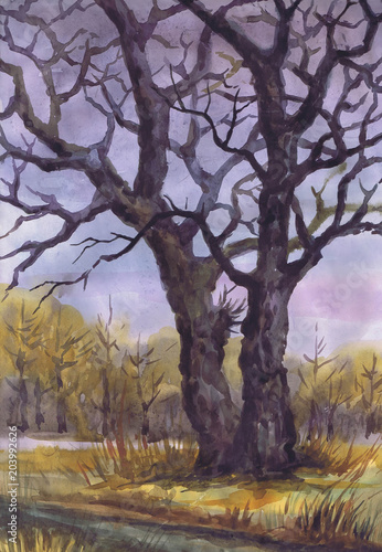 Drawing  Two Trees Late Fall . Paper  watercolor