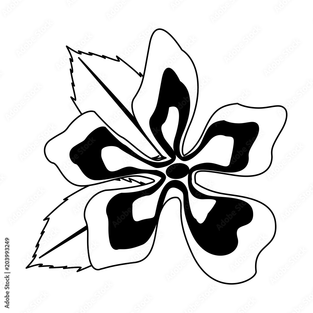 Beautiful flower symbol vector illustration graphic design Beautiful flower symbol vector illustration graphic design