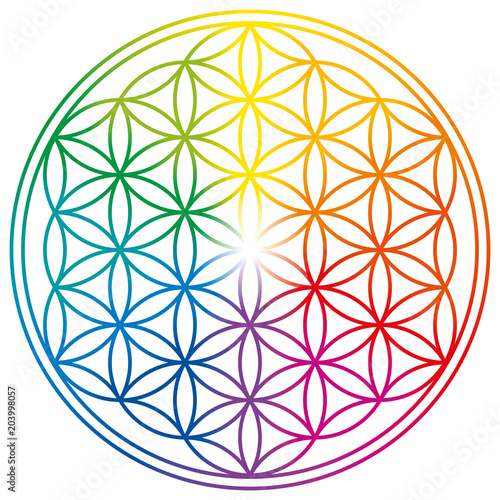 Flower of Life in rainbow colors. Geometrical figure, spiritual symbol, Sacred Geometry. Overlapping circles forming a flower like pattern with symmetrical structure. Illustration over white. Vector.