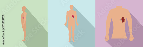 Spleen milt human anatomy icons set. Flat illustration of 3 spleen milt human anatomy vector icons for web