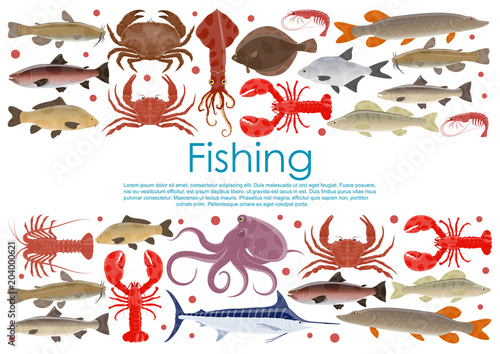 Vector seafood fishing poster of fresh fish