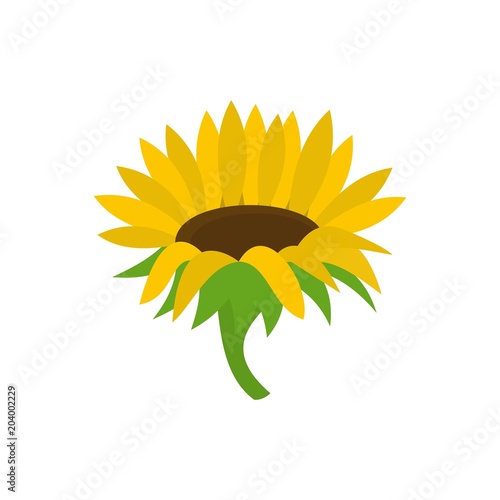 Blossoming sunflower icon. Flat illustration of blossoming sunflower vector icon for web