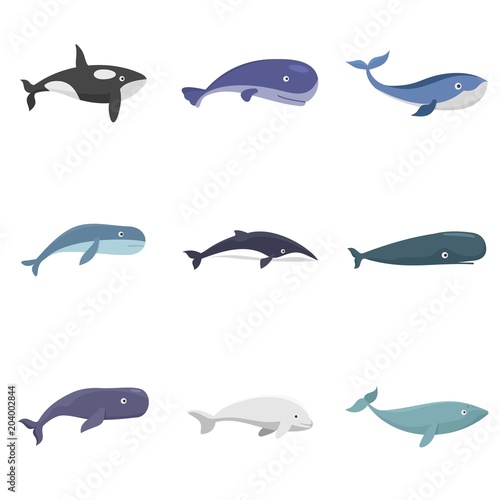 Whale blue tale fish icons set. Flat illustration of 9 whale blue tale fish vector icons isolated on white