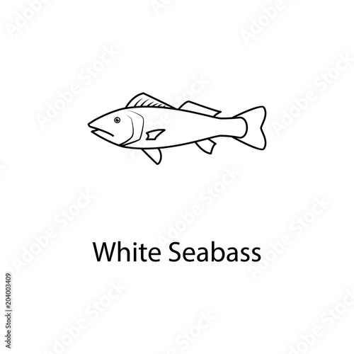 white seabass icon. Element of marine life for mobile concept and web apps. Thin line white seabass icon can be used for web and mobile. Premium icon