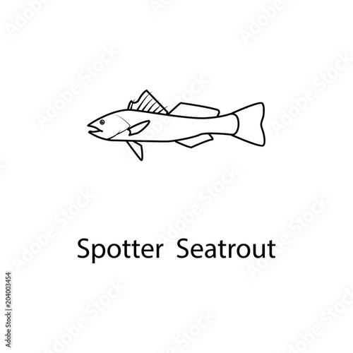 spotter seatrout icon. Element of marine life for mobile concept and web apps. Thin line spotter seatrout icon can be used for web and mobile. Premium icon