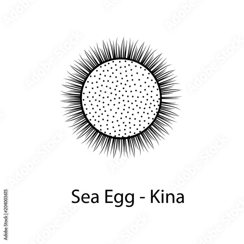 sea egg kina icon. Element of marine life for mobile concept and web apps. Thin line sea egg kina icon can be used for web and mobile. Premium icon