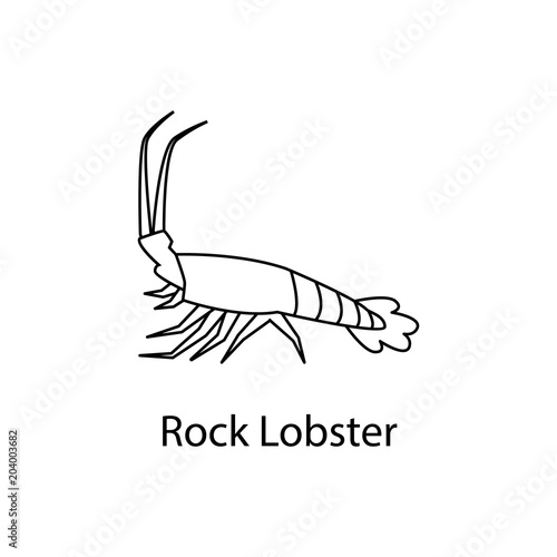 rock lobster icon. Element of marine life for mobile concept and web apps. Thin line rock lobster icon can be used for web and mobile. Premium icon
