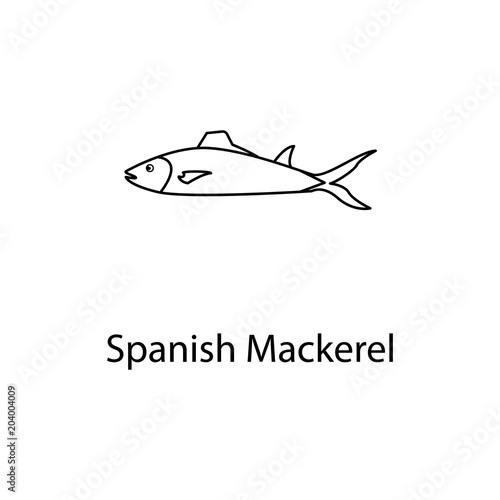 spanish mackerel icon. Element of marine life for mobile concept and web apps. Thin line spanish mackerel icon can be used for web and mobile. Premium icon