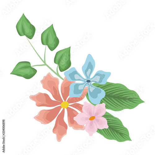 Beautiful flowers with leaves vector illustration graphic design © Jemastock