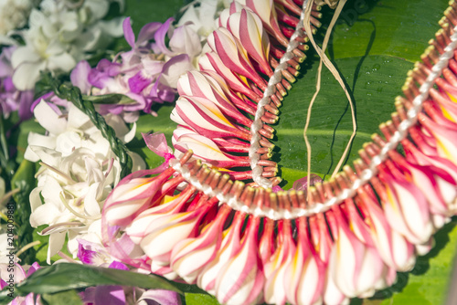 Lei made of orchids