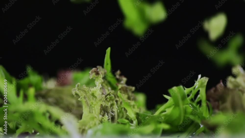 Leaves of lettuce fall on each other. Leaves of lettuce fall on each other.