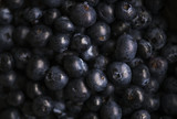 Closeup of fresh organic blueberries