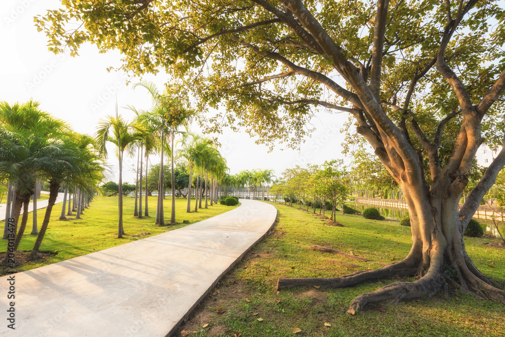Green garden with jogging track at the park in morning, Walk way at republic  park and garden with trees