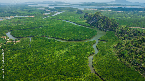 aerial view landscape of Tree or forest , Krabi Thailand