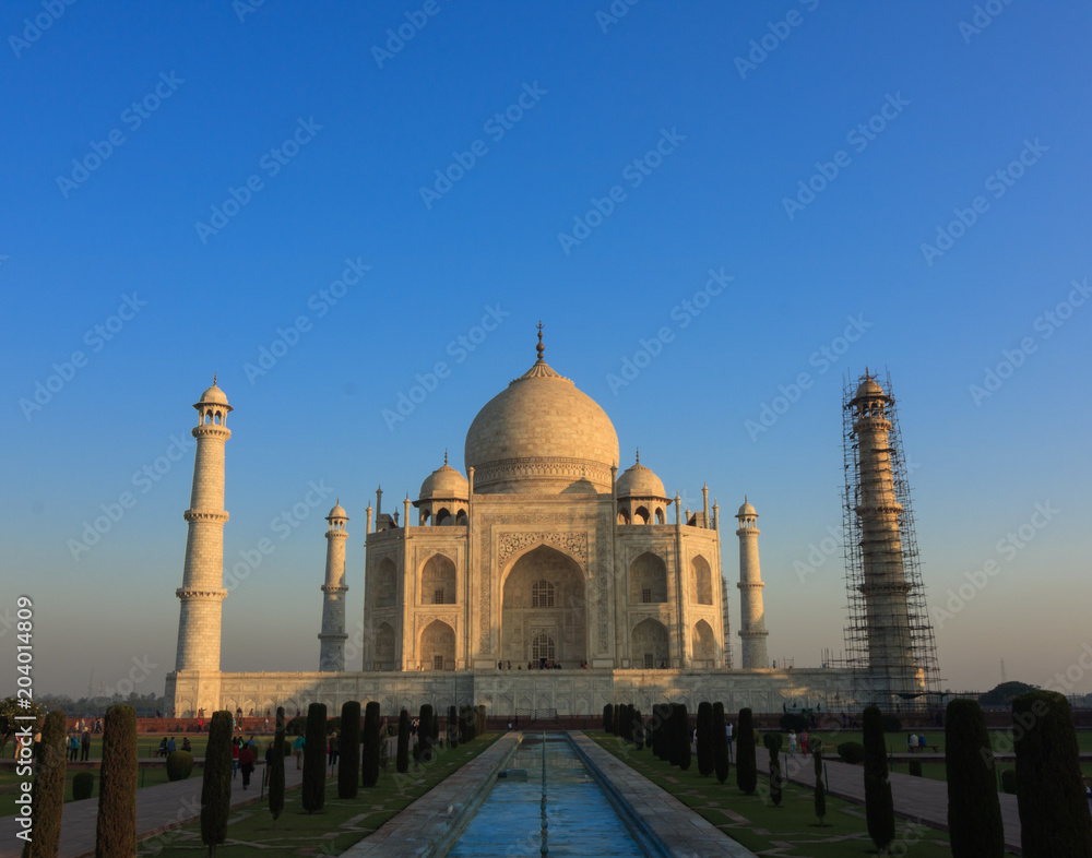 Taj Mahal, Agra, in different shades