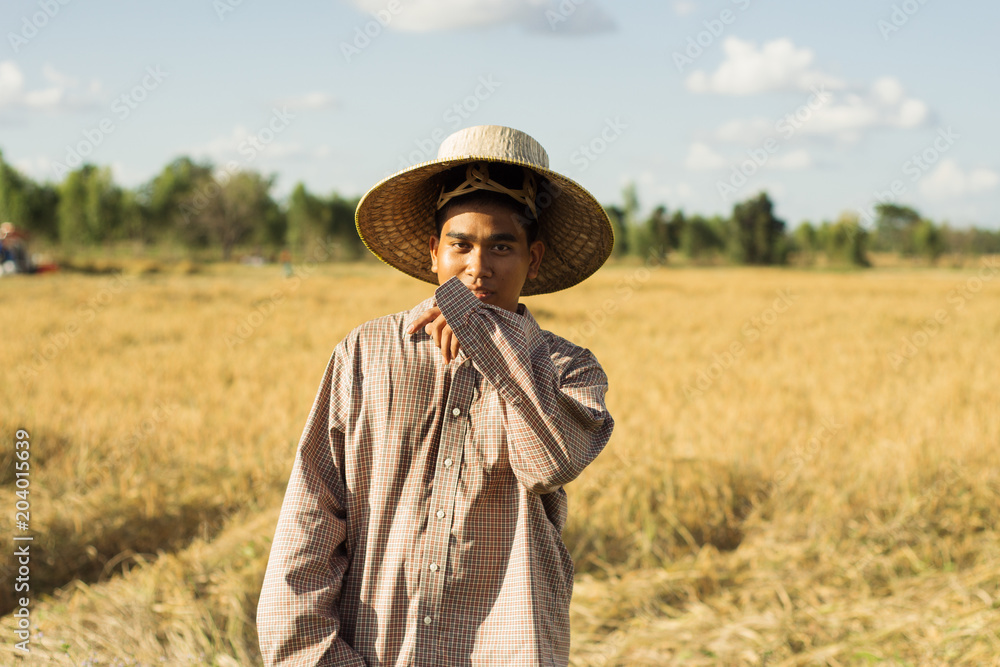 Brown Skin Farmer And His Rice Field Brown Skin Farmer And His Rice Field