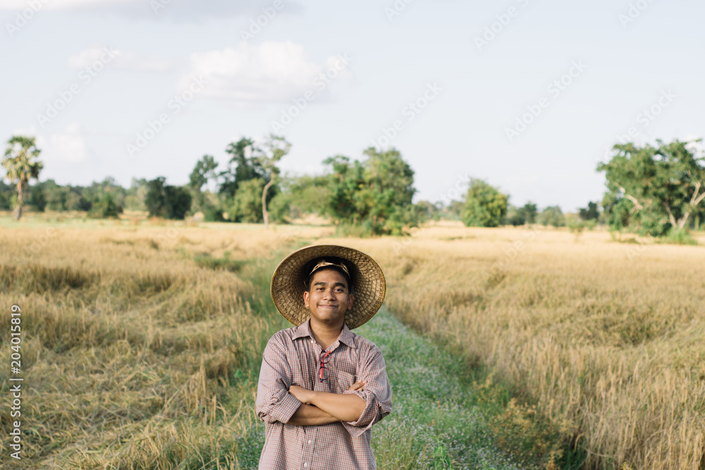 Brown Skin Farmer And His Rice Field Brown Skin Farmer And His Rice Field