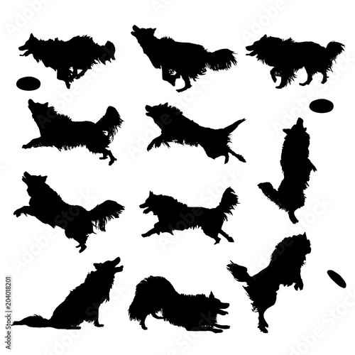 Vector silhouettes of a Border Collie dog