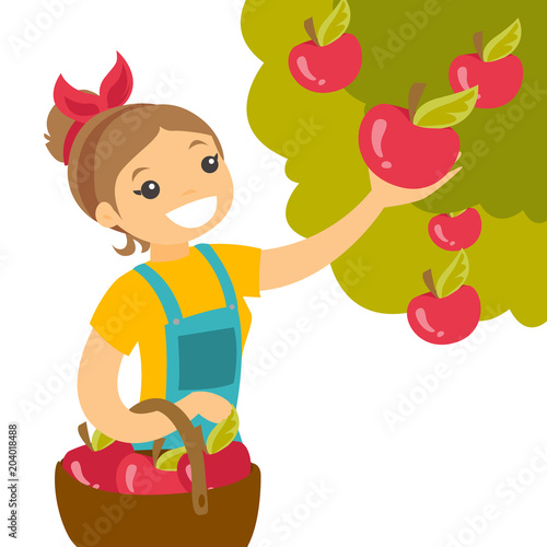 A white woman collects apples from an apple tree in a garden into a basket. Harvest season. Gardening and farming concept. Vector cartoon illustration isolated on white background.