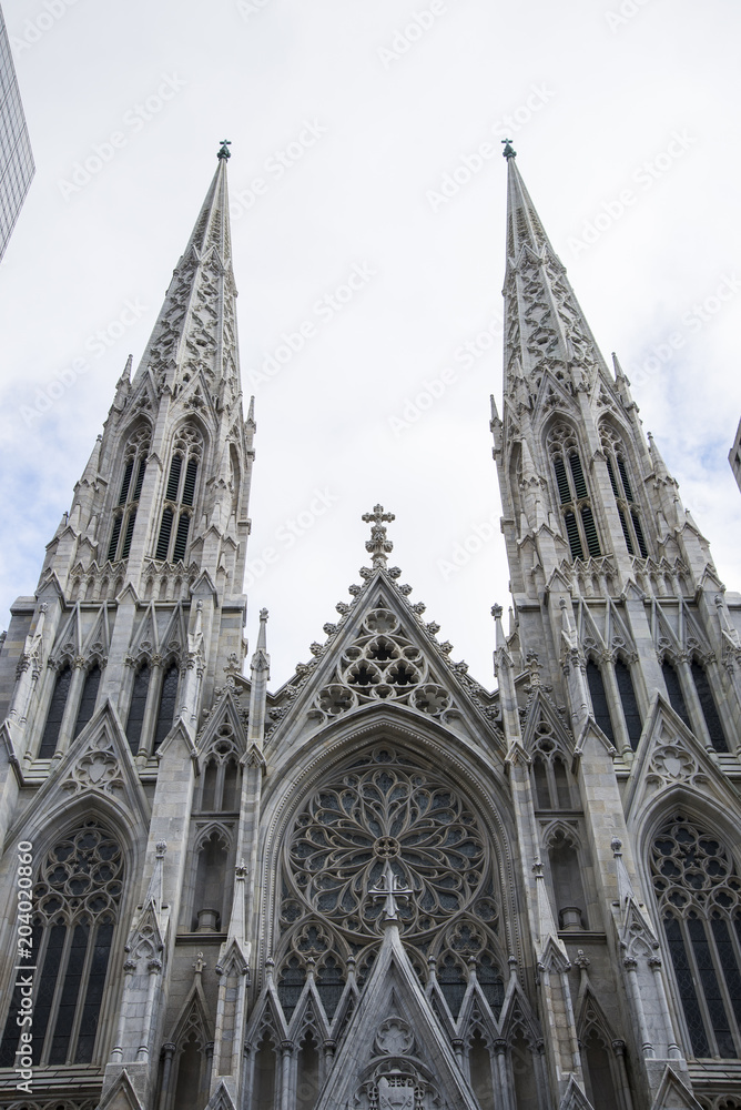 A view of Saint Patrick Cathedral 