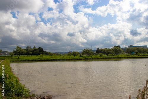 Spring paddy in Otaki Town, Chiba Prefecture, Japan