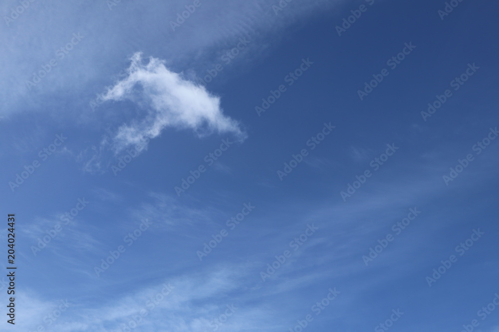 blue Sky + Cloud