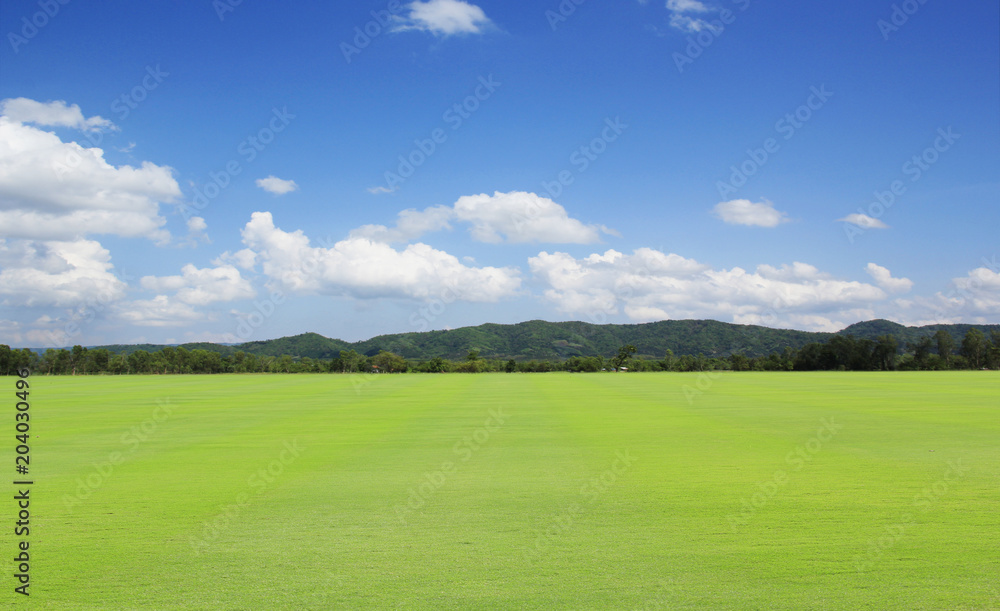 green field and blue sky green field and blue sky