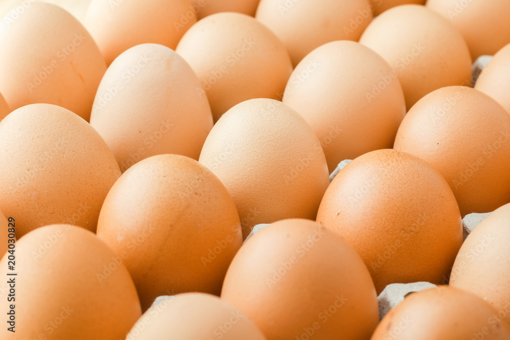 egg