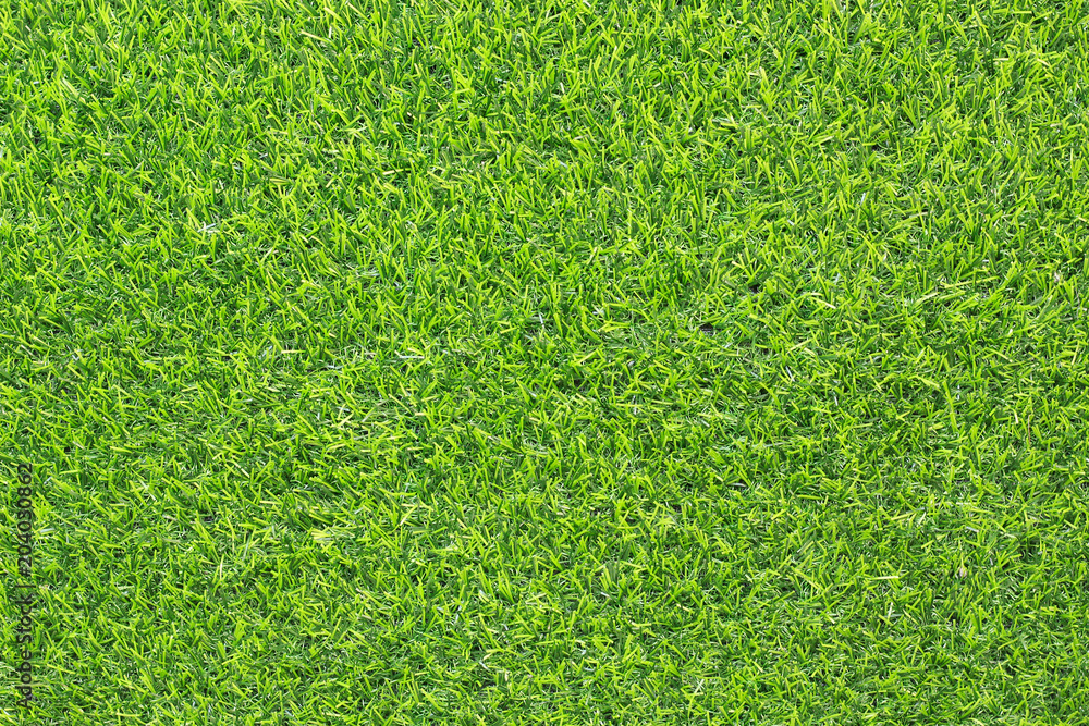 Fototapeta premium green grass texture background