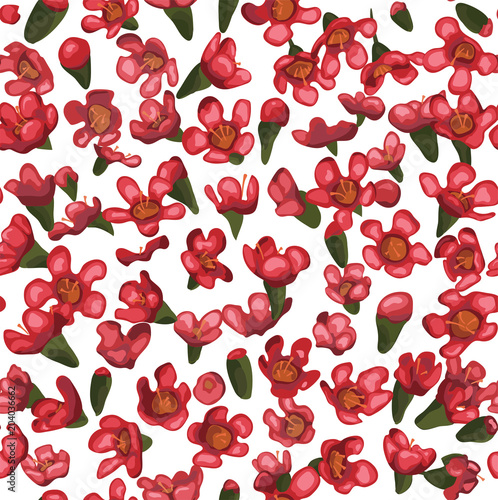 Vector flower seamless pattern background. Illustration floral watercolor design: Chamaelaucium (wax flower)