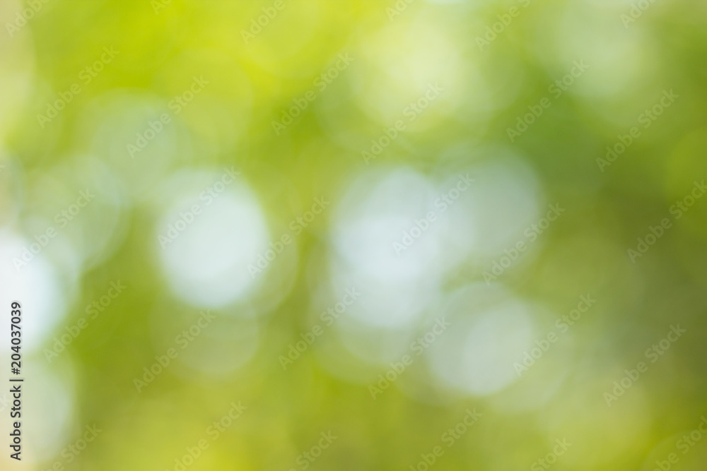 green bokeh background green bokeh background