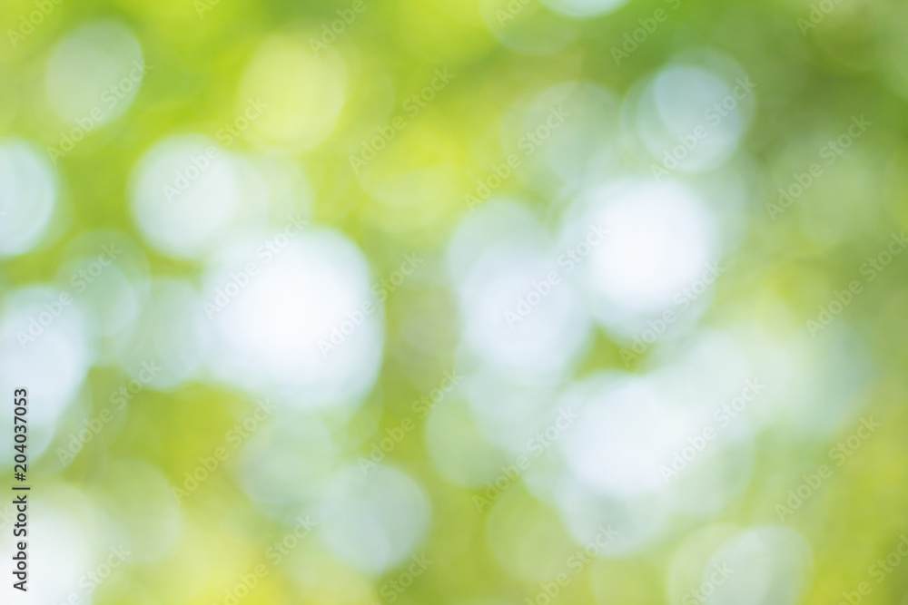 green bokeh background green bokeh background