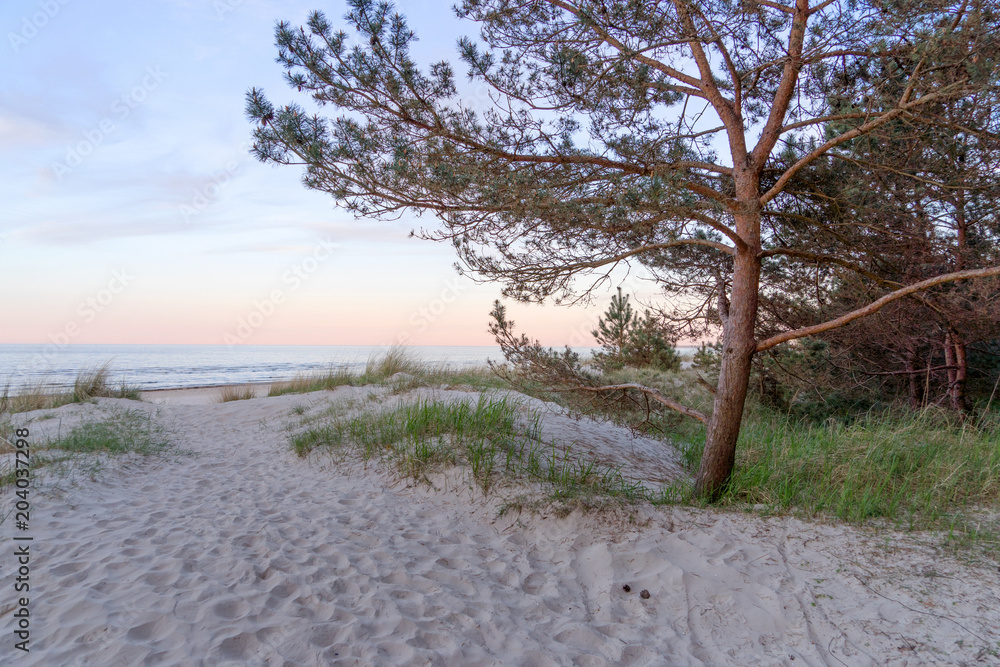 custom made wallpaper toronto digitalSonnenuntergang am Strand