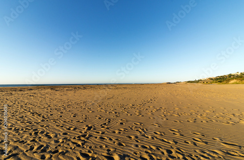 Patterned Beach Sand with Footprints Coastal Blue Sky Landscape © lcswart