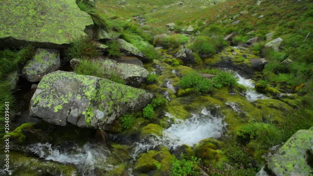 Pure water in mountain stream among moss covered stones Pure water in mountain stream among moss covered stones