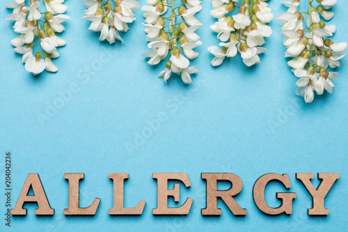 The inscription of the allergy is laid out from the letters on a blue background at the bottom of the frame, above are the white inflorescences of the acacia, the concept