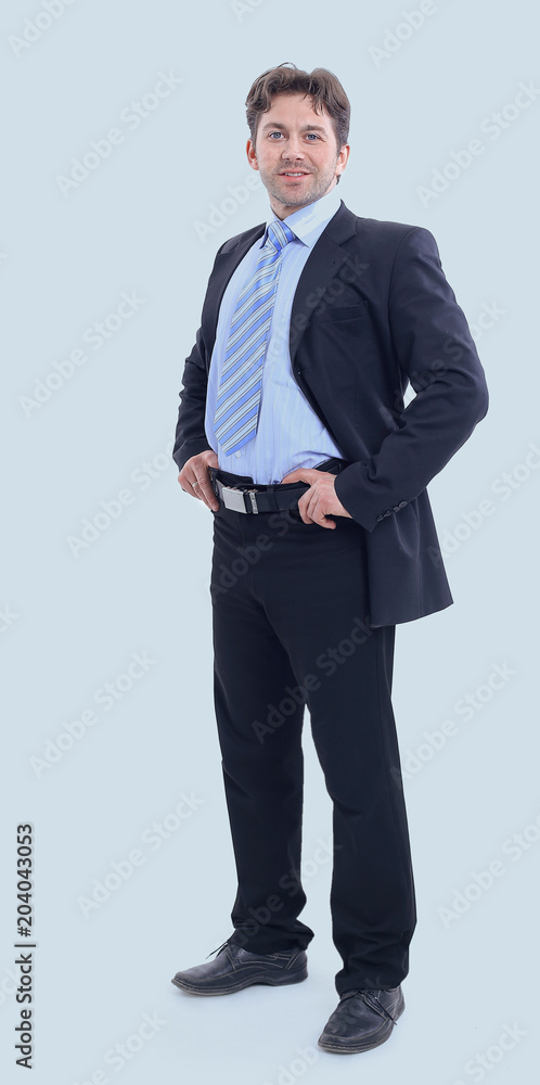 in full growth. portrait of a successful businessman in full growth. portrait of a successful businessman