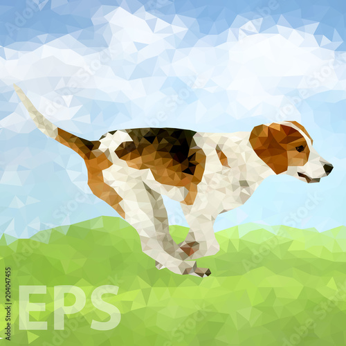 Poly Dog Outdoors-01 [Converted]