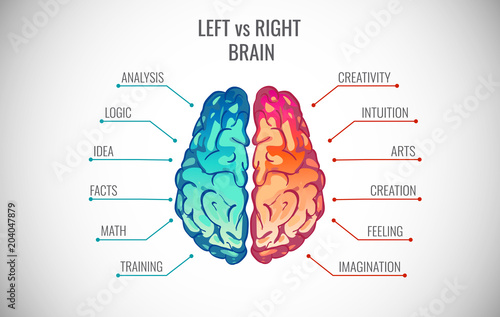 Left and right human brain concept. Creative part and logic part with social and business infographics vector illustration