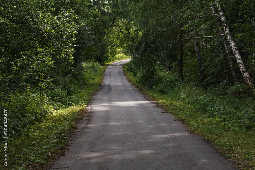 Moscow Oblast, Russia. National Park Elk island. Asphalt road in a summer forest. Around the trees, grass and herbs Moscow Oblast, Russia. National Park Elk island. Asphalt road in a summer forest. Around the trees, grass and herbs