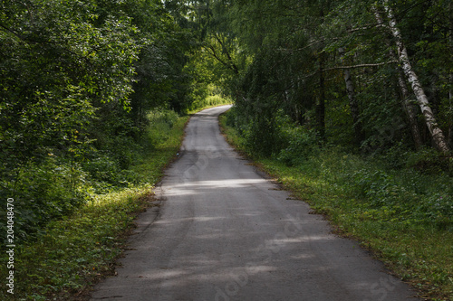 Moscow Oblast, Russia. National Park Elk island. Asphalt road in a summer forest. Around the trees, grass and herbs