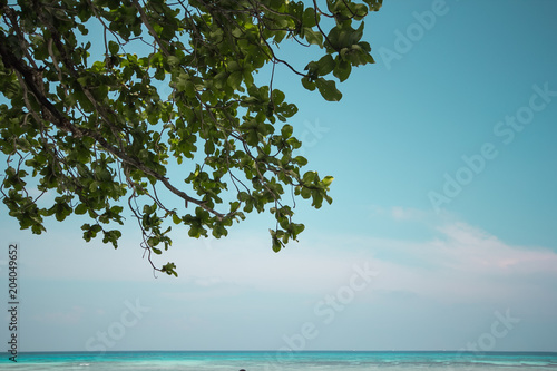 Fototapeta Naklejka Na Ścianę i Meble -  Beautiful tropical Thailand with beach, Blue Sea and White Sand