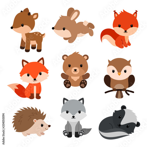 Woodland animals set.