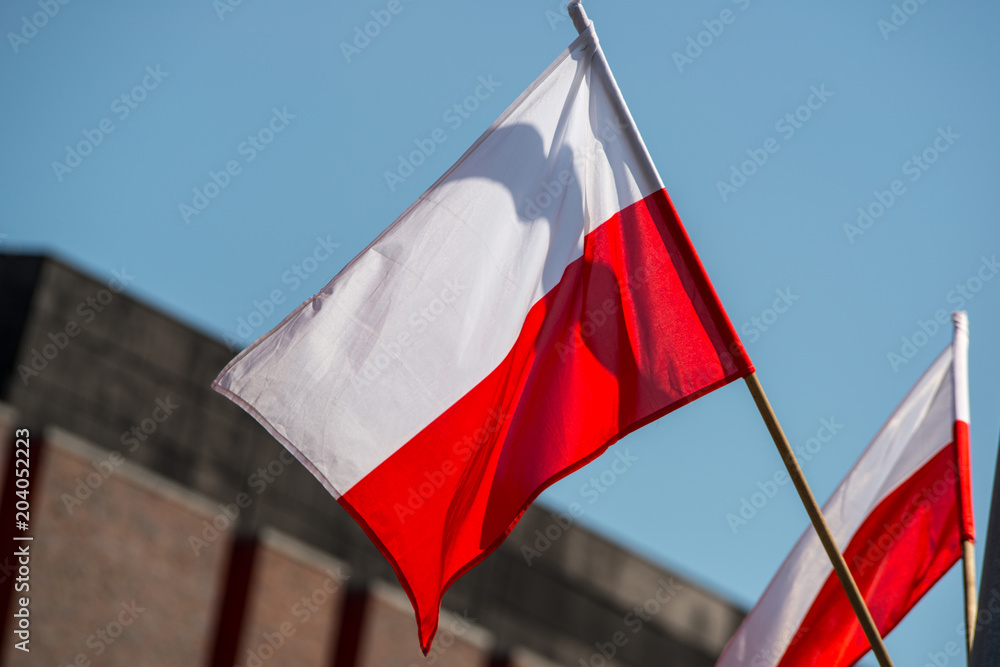 White and red Polish flag.