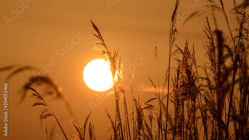 View of Sun setting behind Long Grass E, shallow depth of field background nature photography spring 2018