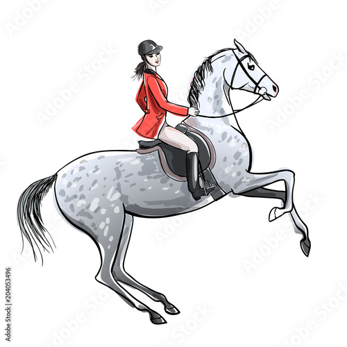 Beautiful rider and dapple grey horse on white. Horseman girl in red jacket on rearing up stallion. England equestrian sport style. Hand drawing vector cartoon illustration.