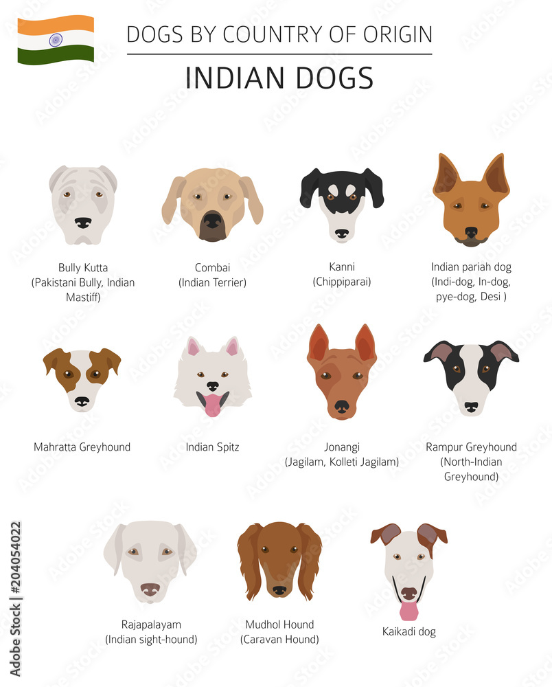 Indian Mastiff