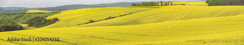 Panorama with rape fields in South Moravia