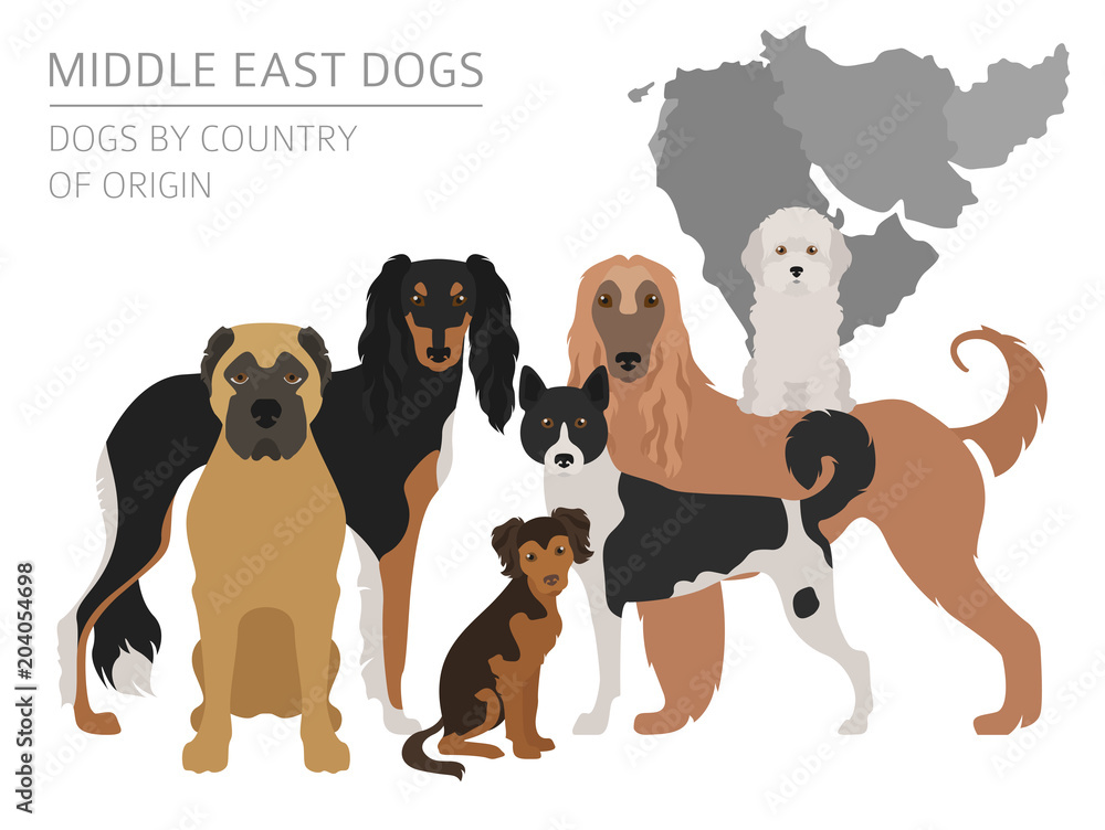 Dogs by country of origin. Near East dog breeds, persian dogs. Infographic template